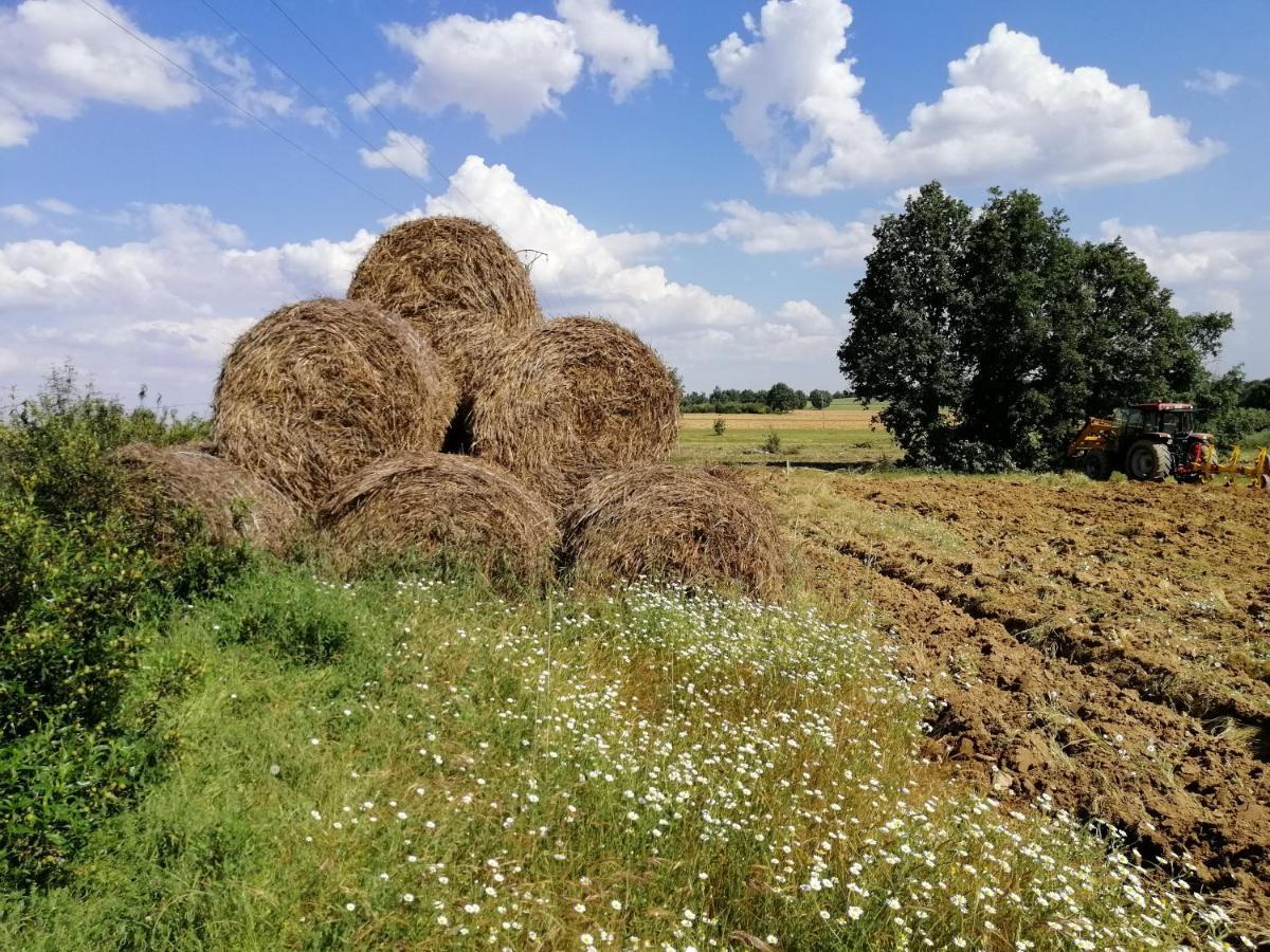 Centro Turismo Rural Lajafriz Fornillos de Aliste Exterior foto